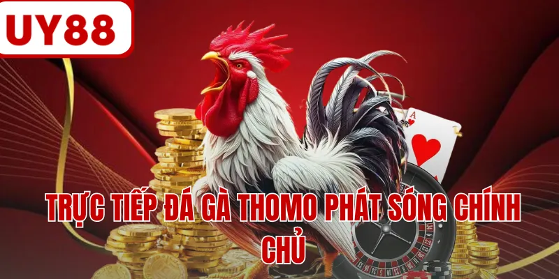 Trực tiếp đá gà Thomo phát sóng chính chủ